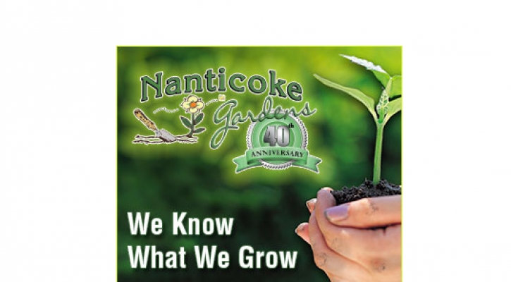 Nanticoke-300x250-Web-Banner.jpg