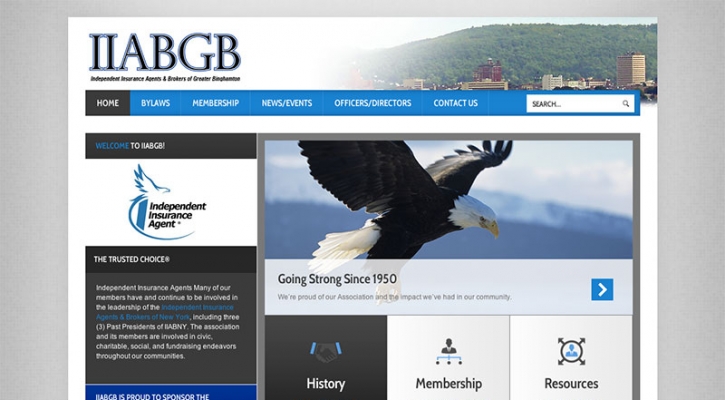 iiabgb-site.jpg